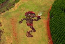 31 de outubro é Dia do Saci: Botucatu é reconhecida em todo o Brasil como “Terra do Saci”