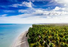 Bahia recebe cinco certificações do programa Bandeira Azul Bahia recebe cinco certificações do programa Bandeira Azul