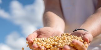 Fiagros ganham novo impulso com marco regulatório Fiagros ganham novo impulso com marco regulatório