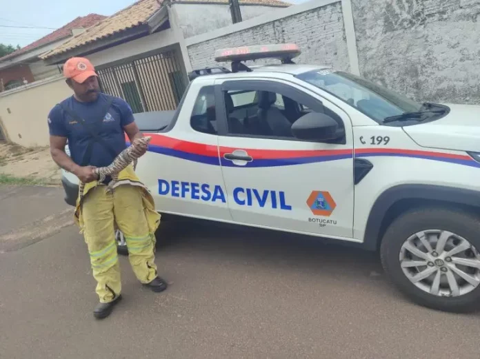 defesa-civil-resgate-teiu-041025