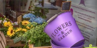 Marketing digital impulsiona crescimento e fidelização nas floriculturas Marketing digital impulsiona crescimento e fidelização nas floriculturas