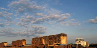 Alerta de buracos reduz custos no transporte de cana-de-açúcar Alerta de buracos reduz custos no transporte de cana-de-açúcar