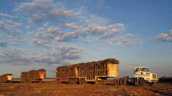 Alerta de buracos reduz custos no transporte de cana-de-açúcar Alerta de buracos reduz custos no transporte de cana-de-açúcar