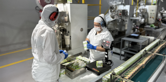 Hilê leva tradição familiar ao mercado global Hilê leva tradição familiar ao mercado global