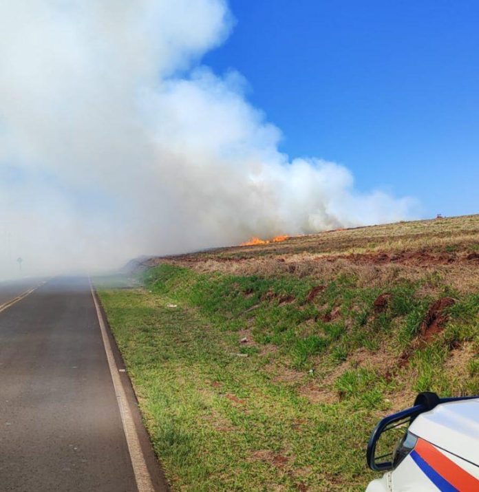 fogo-incendio-mata-lageado-231025