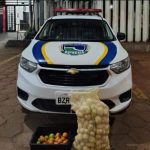 Botucatu: GCM prende dupla em flagrante por furto de batatas e tomates em marmitaria
