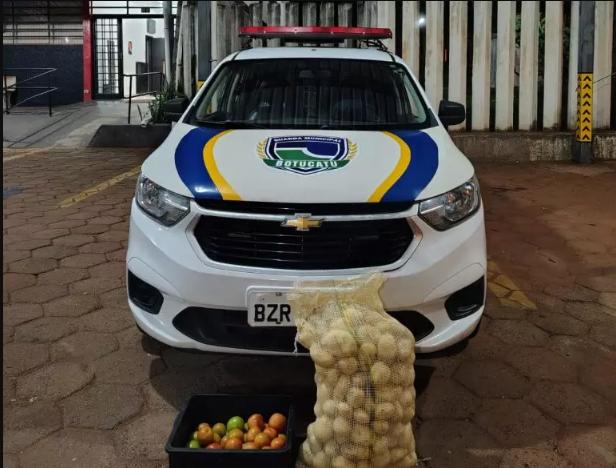 gcm-furto-batata-251025