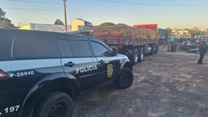 policia-civil-botucatu-drogas-231025