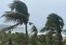 Defesa Civil do Estado de SP emite alerta de chuvas intensas e ventos fortes até sexta-feira (31)