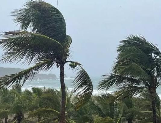 Defesa Civil do Estado de SP emite alerta de chuvas intensas e ventos fortes até sexta-feira (31)