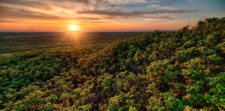 Ecora, certificadora de carbono, atuará em todos os biomas