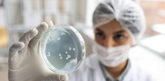 Brasil e França unem forças contra a RAM na COP-30 Brasil e França unem forças contra a RAM na COP-30