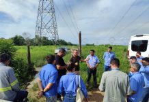 Treinamentos contínuos reduzem custos nas frotas Treinamentos contínuos reduzem custos nas frotas
