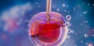 Pacientes recorrem ao uso do FGTS para custear FIV