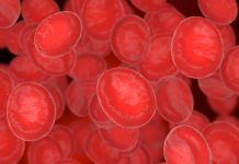 Novo tratamento para mieloma múltiplo é aprovado pela Anvisa