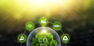 FutureClimate integra iniciativa global de remoção de CO₂ FutureClimate integra iniciativa global de remoção de CO₂