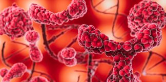 ANS avalia inclusão de tratamento para mielofibrose no rol