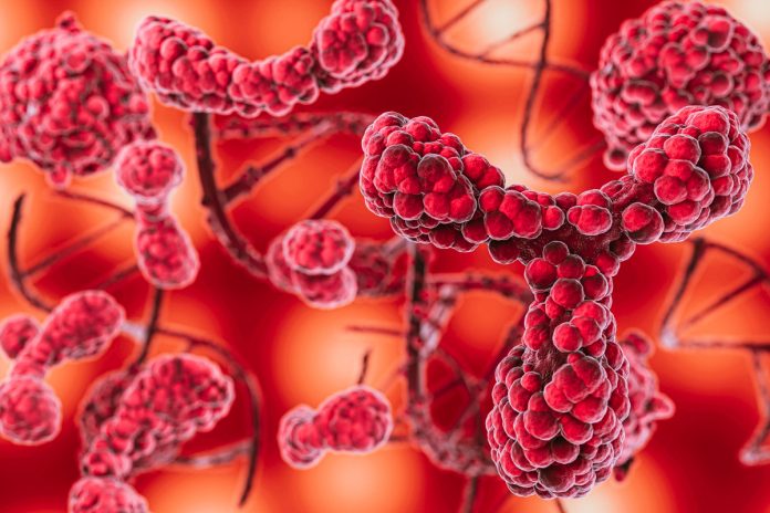 ANS avalia inclusão de tratamento para mielofibrose no rol