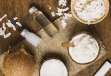 COP 30 impulsiona debate sobre veganismo COP 30 impulsiona debate sobre veganismo