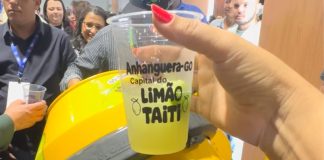 Anhanguera busca entrar para o Guinness Book com maior caipirinha do mundo
