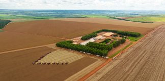 Grupo Bom Jesus implementa novas práticas de governança Grupo Bom Jesus implementa novas práticas de governança