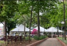 Botucatu: Feira de Saúde promove serviços e cuidados gratuitos neste sábado, 8