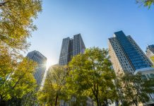 ESG segue como prioridade para empresas brasileiras ESG segue como prioridade para empresas brasileiras