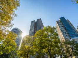 ESG segue como prioridade para empresas brasileiras