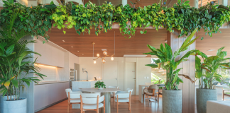 Arquitetura prioriza inovação e soluções atemporais Arquitetura prioriza inovação e soluções atemporais