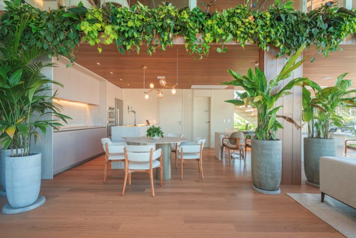 Arquitetura prioriza inovação e soluções atemporais Arquitetura prioriza inovação e soluções atemporais