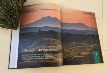 Aulas gratuitas sobre Vale do Paraíba atraem atenção de centenas de professores