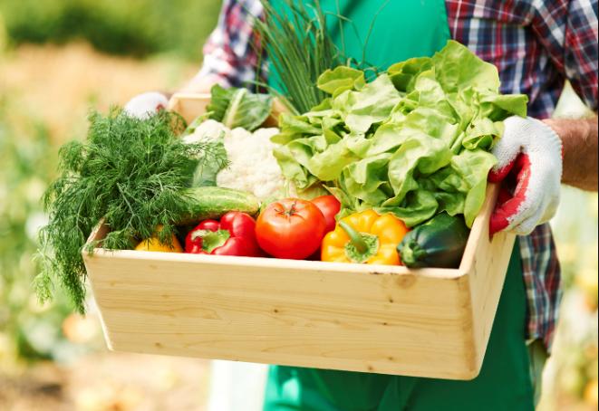 banco-de-alimentos-botucatu-101225