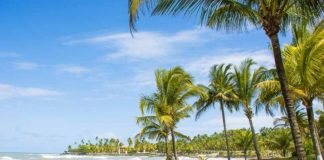 Ilhéus reforça sua oferta de passeios temáticos e atrai diferentes viajantes