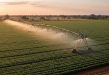 Irrigação inteligente combate alta no preço da energia