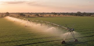 Irrigação inteligente combate alta no preço da energia
