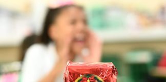 EcoRodovias doa mais de 26 mil brinquedos EcoRodovias doa mais de 26 mil brinquedos