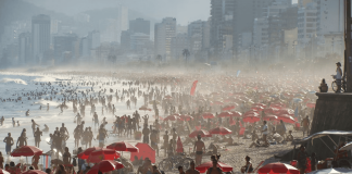 Brasil registra calor maior e cresce uso de sombreamento Brasil registra calor maior e cresce uso de sombreamento