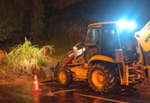 Chuvas provocam deslizamento e queda de árvore na Rodovia Domingos Sartori em Botucatu