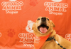 Shopee se une à Ampara Animal pelos cuidados aos animais