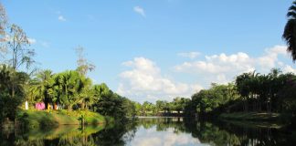 Inhotim projeta Minas Gerais no cenário internacional