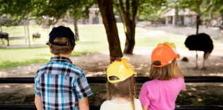 Recesso escolar exige adaptação para famílias de crianças com TEA