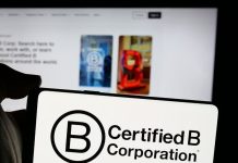 Como as Empresas B têm se diferenciado no mercado