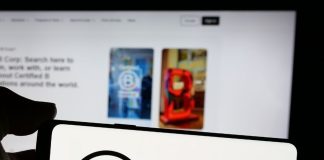 Como as Empresas B têm se diferenciado no mercado Como as Empresas B têm se diferenciado no mercado