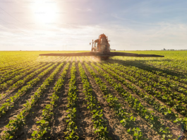 Derivados de potássio entregam eficiência e escala ao agro