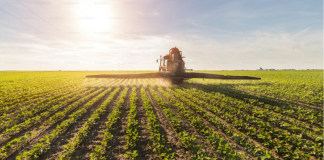 Derivados de potássio entregam eficiência e escala ao agro