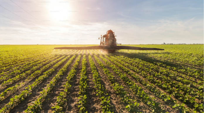 Derivados de potássio entregam eficiência e escala ao agro Derivados de potássio entregam eficiência e escala ao agro