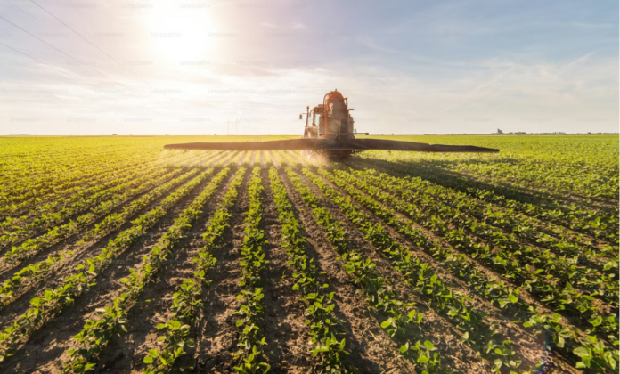 Derivados de potássio entregam eficiência e escala ao agro Derivados de potássio entregam eficiência e escala ao agro