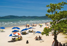 Vendas imobiliárias alcançam R$ 14,6 bi em 2025