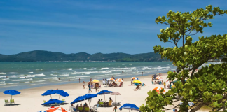 Vendas imobiliárias alcançam R$ 14,6 bi em 2025