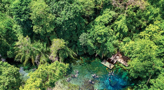 Nascente Azul é o atrativo mais visitado de Bonito (MS) Nascente Azul é o atrativo mais visitado de Bonito (MS)